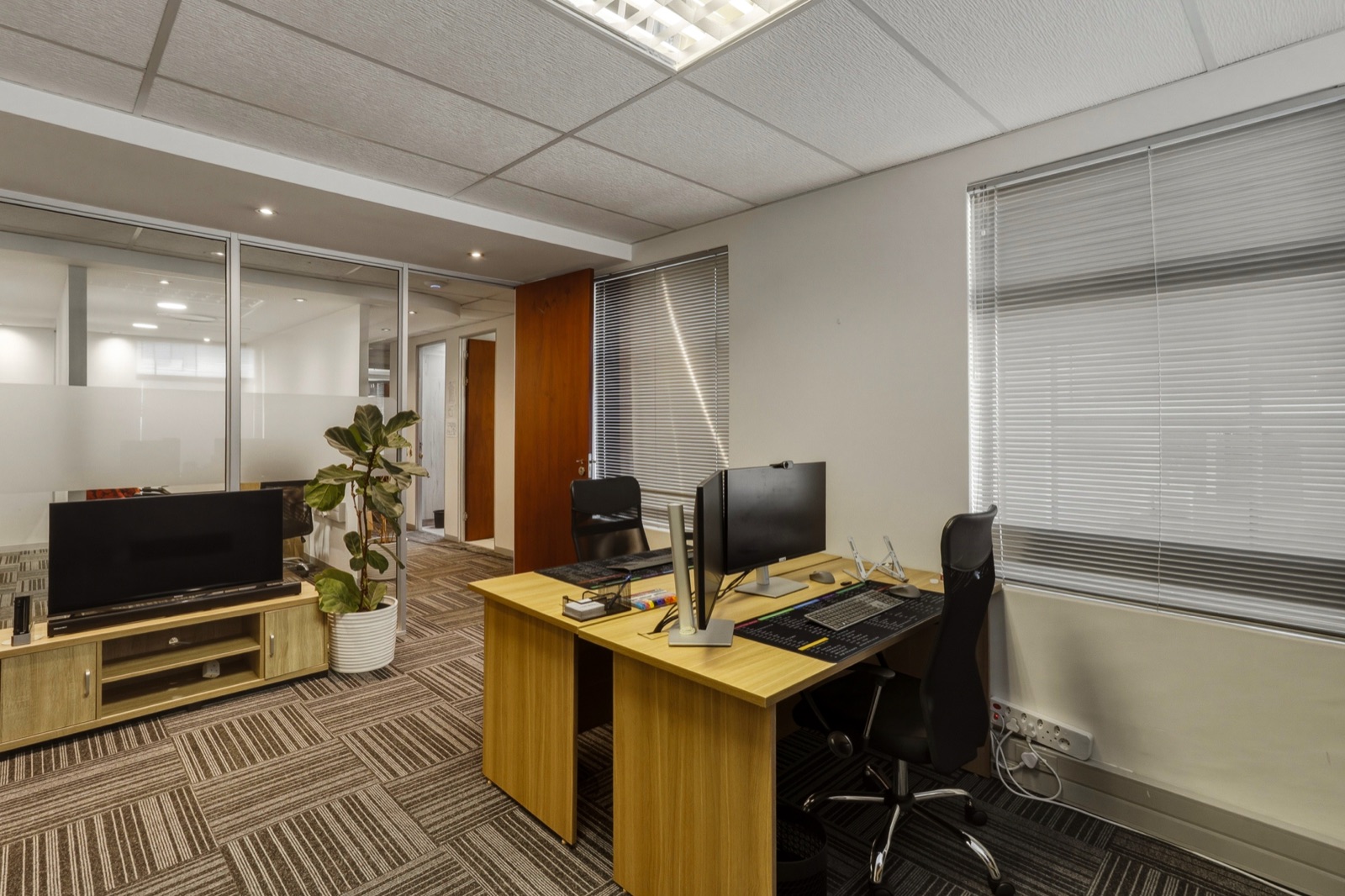 A team office with a desk by the window, a plant and glass partitions